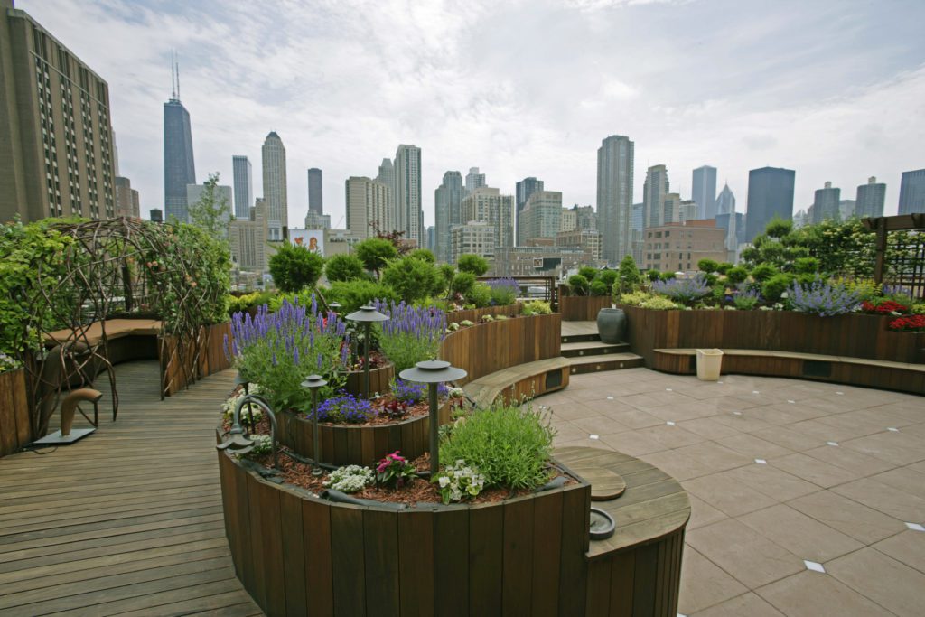 rooftop garden cityscape
