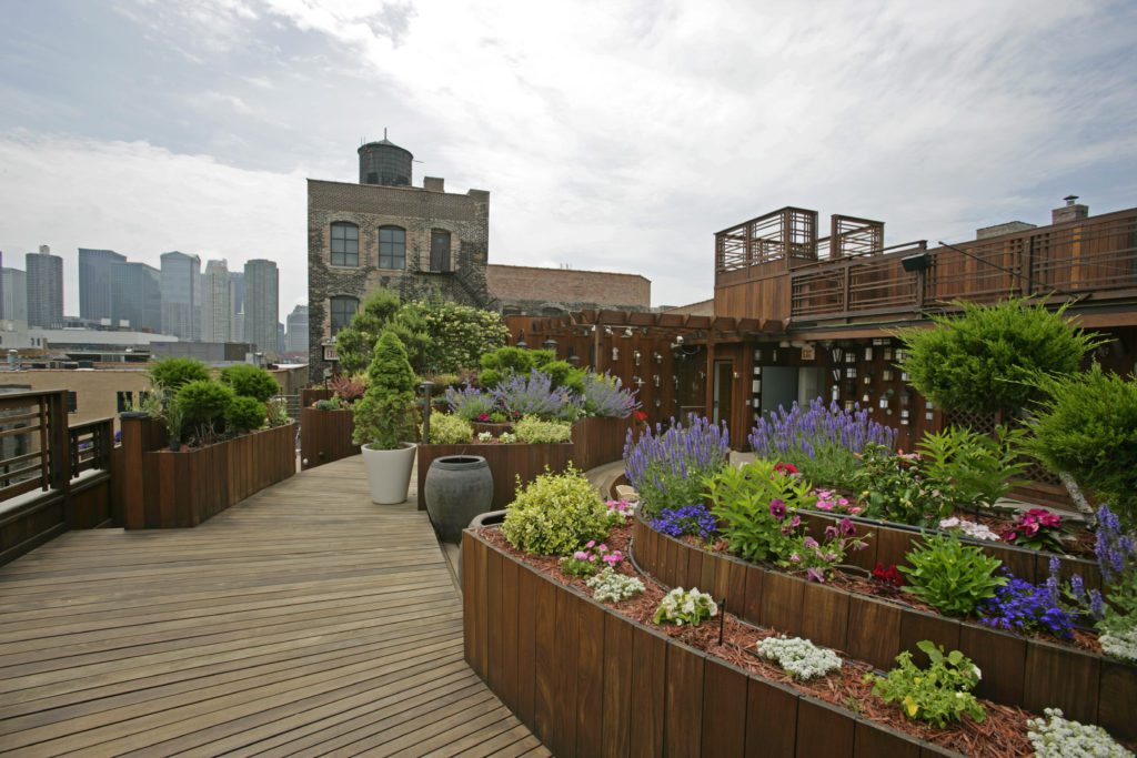 rooftop garden cityscape