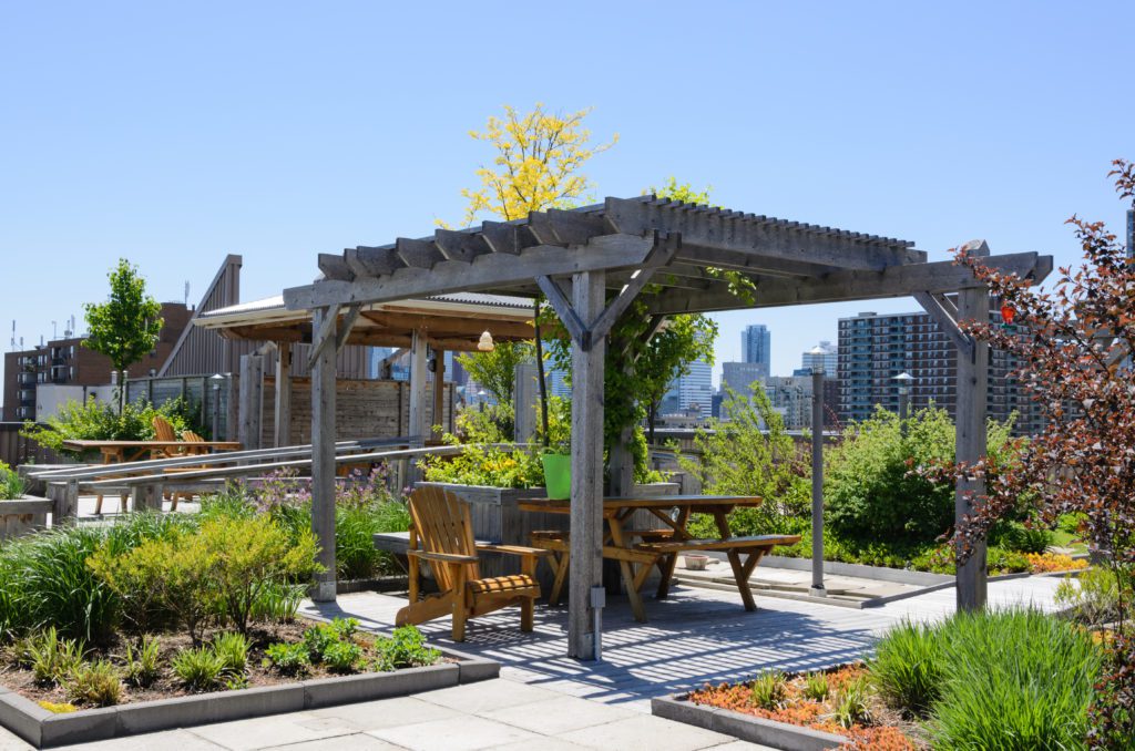 Rooftop garden in urban setting